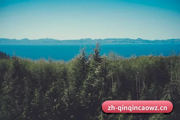 海外版图扩张